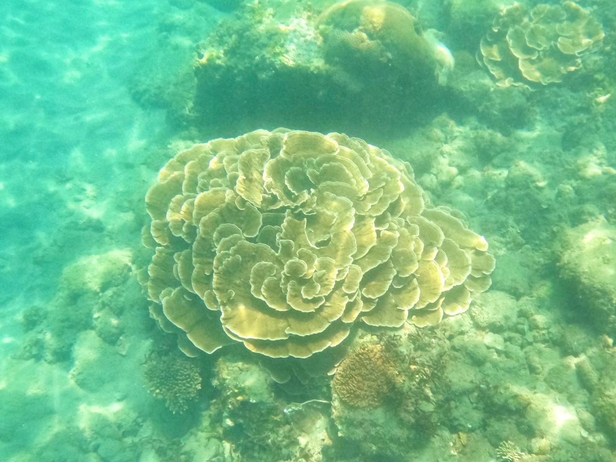 都蘭那界灣海景民宿 Donghe Buitenkant foto