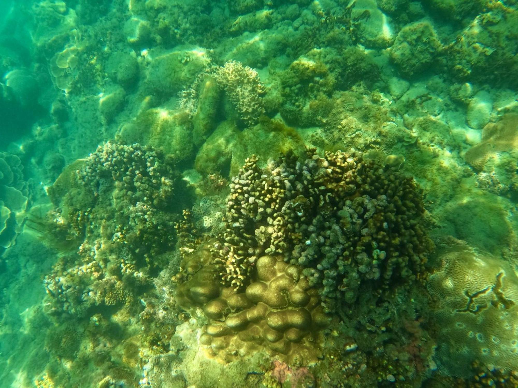 都蘭那界灣海景民宿 Donghe Buitenkant foto